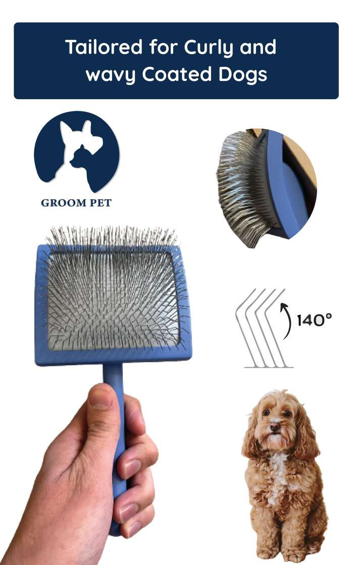 Premium Pet Grooming Brush price