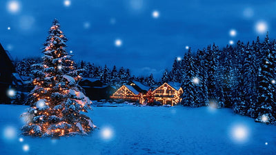 Christmas items