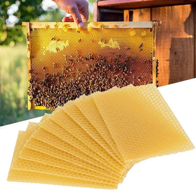 10PCS_9x13cm_Bee_Wax_Foundation_Bee_Hive_Wax_Frames_Base_Sheets_Bee_Comb_Honey_Frame_Beeswax_Sheets_Beekeeper_Equipment