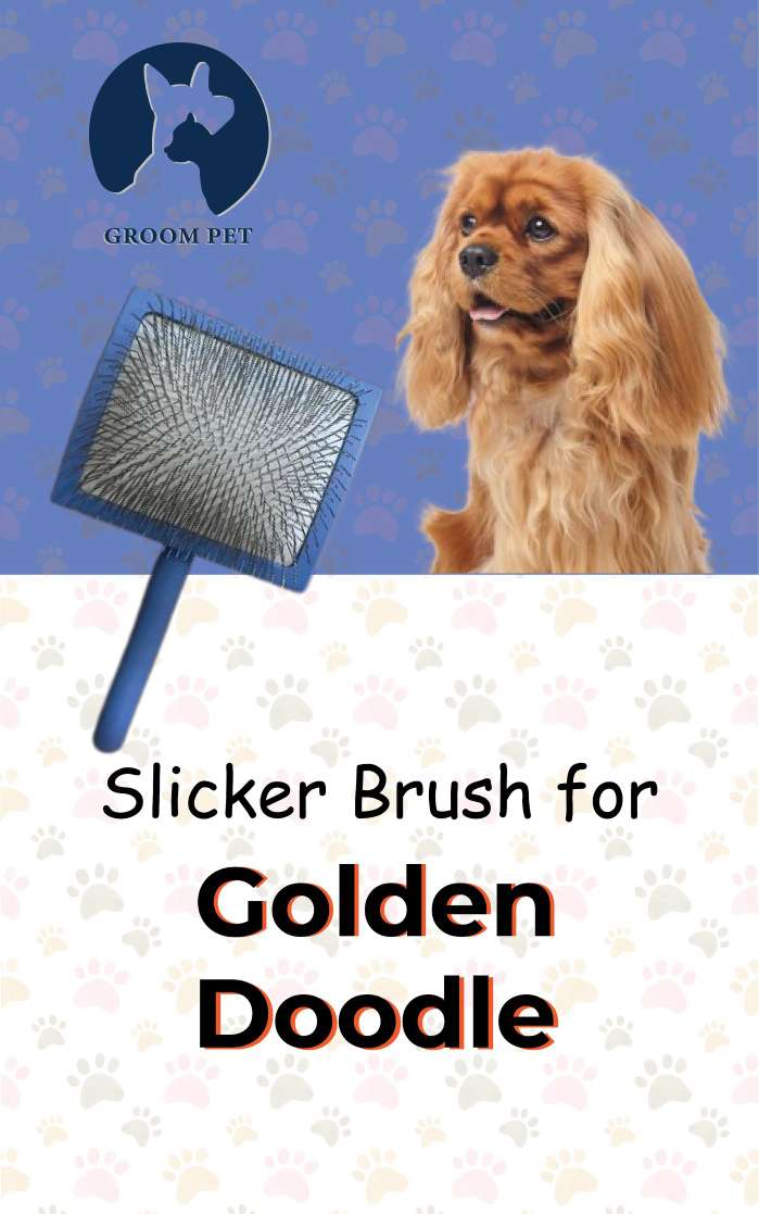 GROOM PET Premium Pet Grooming Brush