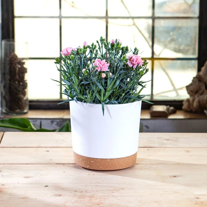 Plant Pot Circular Large Flowerpot Plastic Indoor Plants Succulent Planter with Drainage Bonsai Potted with Tray Home Decoration