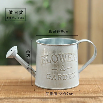 Small Iron Watering Can Iron Bucket Pots Retro for Flowers Home Garden Ornaments Creative Yard Decoration