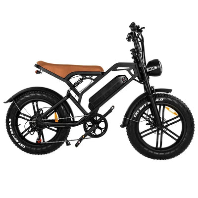 Newly V20 electric bicycle 1000W 48V 20AH ebike , 20 inch electric fat tire electric city mountain bike