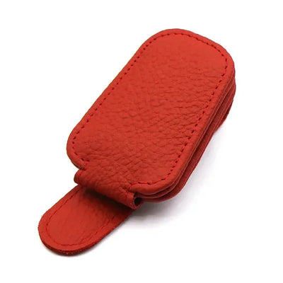 UNIVERSAL CAR VISOR GLASSES BOX – MULTIFUNCTIONAL MAGNETIC REUSABLE SUNGLASS HOLDER, AUTO ACCESSORIES
