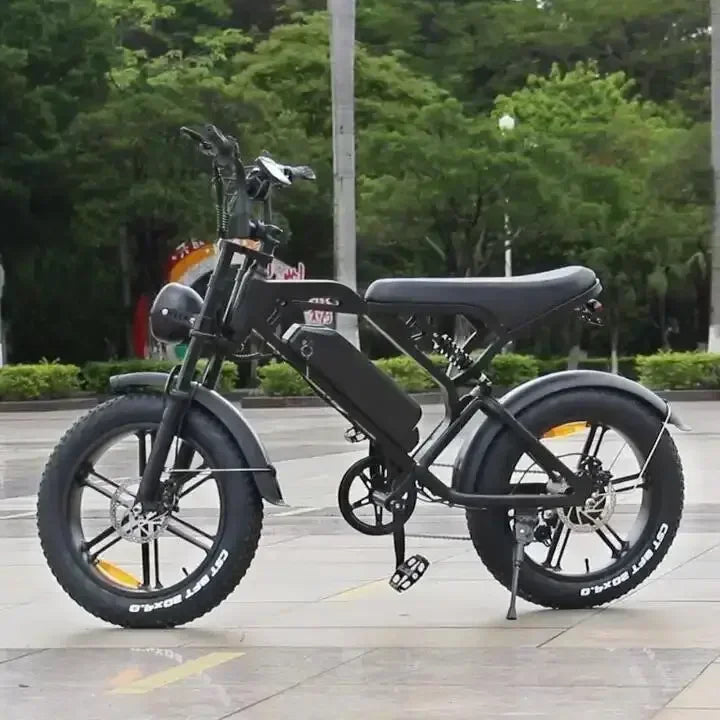 Newly V20 electric bicycle 1000W 48V 20AH ebike , 20 inch electric fat tire electric city mountain bike