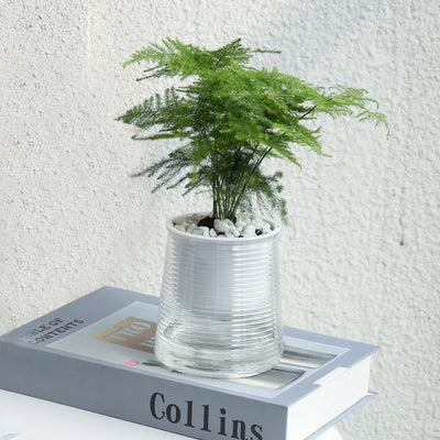 Hydroponic Plants Pot Self Watering Flowerpot Indoor Mini Succulent Planter Tabletop Vase Self-watering Home Office Bonsai Decor