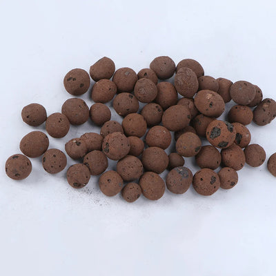 Succulent Soil Ceramsite Decorative Rocks for Indoor Plants Pebble Natural Clay Stones
