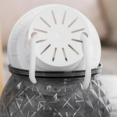 Fashion Self Watering Hydroponic Plants Pot Plastic Removable Flowerpot Mini Succulent Planter Tabletop Vase