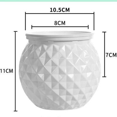 Fashion Self Watering Hydroponic Plants Pot Plastic Removable Flowerpot Mini Succulent Planter Tabletop Vase