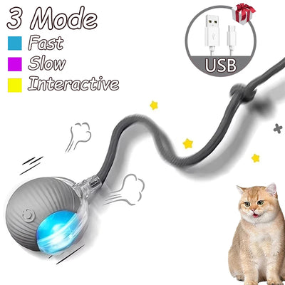 2Pcs cat Interactive Ball Toys Automatic Rolling Ball Faux Tail Rechargeable Smart Pet Electric Toy Cat Training Imitate Mouse