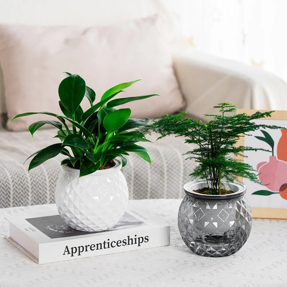Fashion Self Watering Hydroponic Plants Pot Plastic Removable Flowerpot Mini Succulent Planter Tabletop Vase