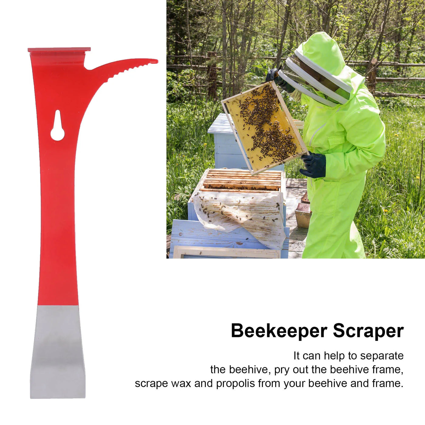 1PC Beekeepers Extracting Scraper Stainless Steel Honey Cutting Knife Beekeeping Equipment