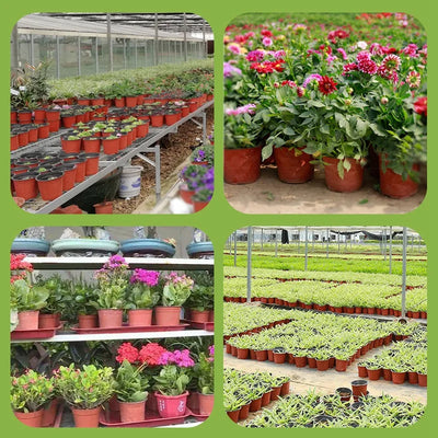 100PCS Plant Nursery Pot Seed Starting Pot Plastic Flower Plant Container ,Succulents Seedlings Cuttings Transplant 9/12/15cm