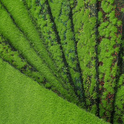 Artificial Moss Turf Simulation Grass Mat Garden DIY Micro Landscape Bonsai Decoration Wall Green Lawn Dollhouse Decor 15/30/50c