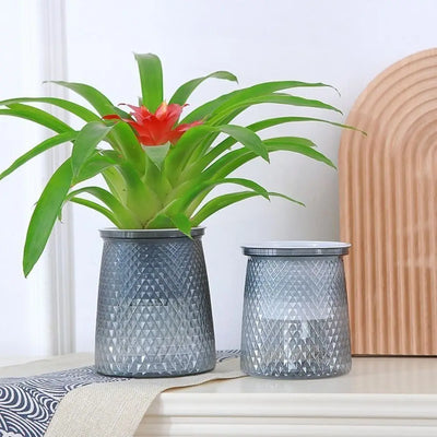Self Watering Plant Pot High-quality Plastic Visible Water Level Flower Pot Garden Supplies Hydroponic Planter