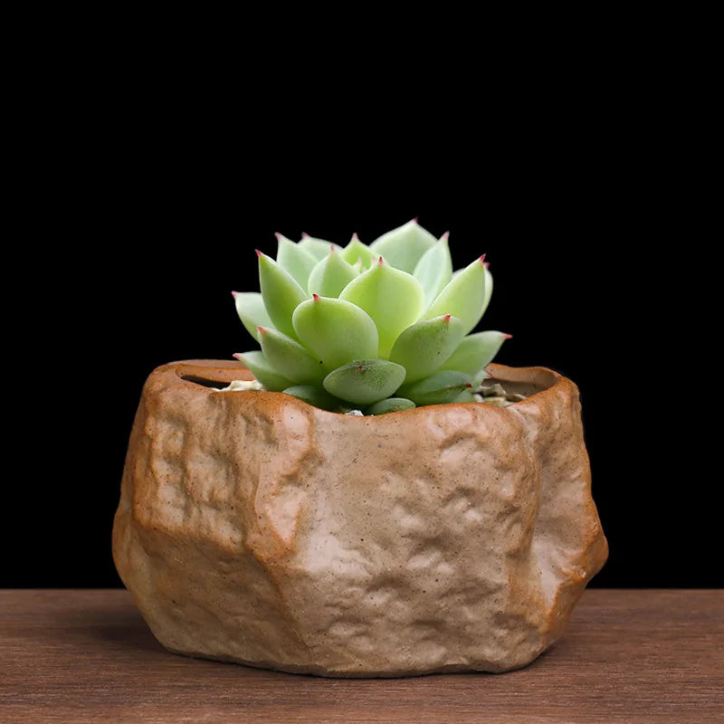 Ceramic Succulent Pot Wear Resistant Stone Shape Cactus Succulent Miniature Garden Bonsai for Home Office Table Desk Decoration