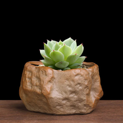Ceramic Succulent Pot Wear Resistant Stone Shape Cactus Succulent Miniature Garden Bonsai for Home Office Table Desk Decoration