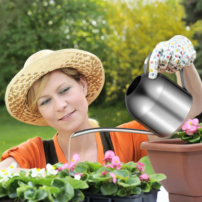 1000ml Stainless Steel Watering Can Long Spout Watering Pot Home Gardening Tool for Indoor Plants Succulents (Silver)