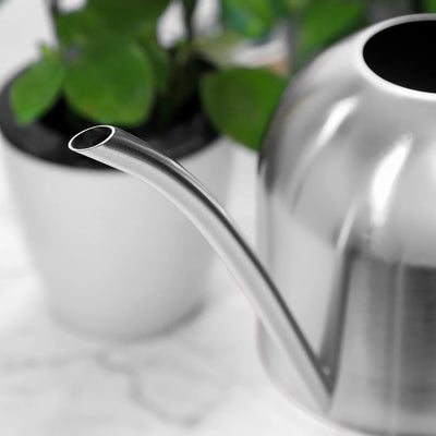 1000ml Stainless Steel Watering Can Long Spout Watering Pot Home Gardening Tool for Indoor Plants Succulents (Silver)
