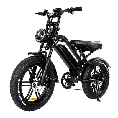 Newly V20 electric bicycle 1000W 48V 20AH ebike , 20 inch electric fat tire electric city mountain bike