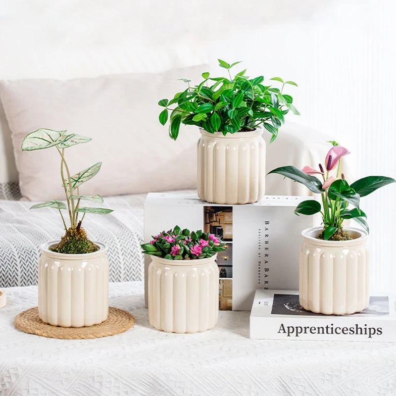 Hydroponic Plants Pot Self Watering Flowerpot Indoor Mini Succulent Planter Tabletop Vase Self-watering Home Office Bonsai Decor