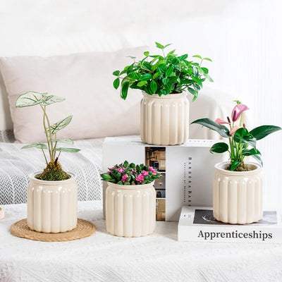 Hydroponic Plants Pot Self Watering Flowerpot Indoor Mini Succulent Planter Tabletop Vase Self-watering Home Office Bonsai Decor