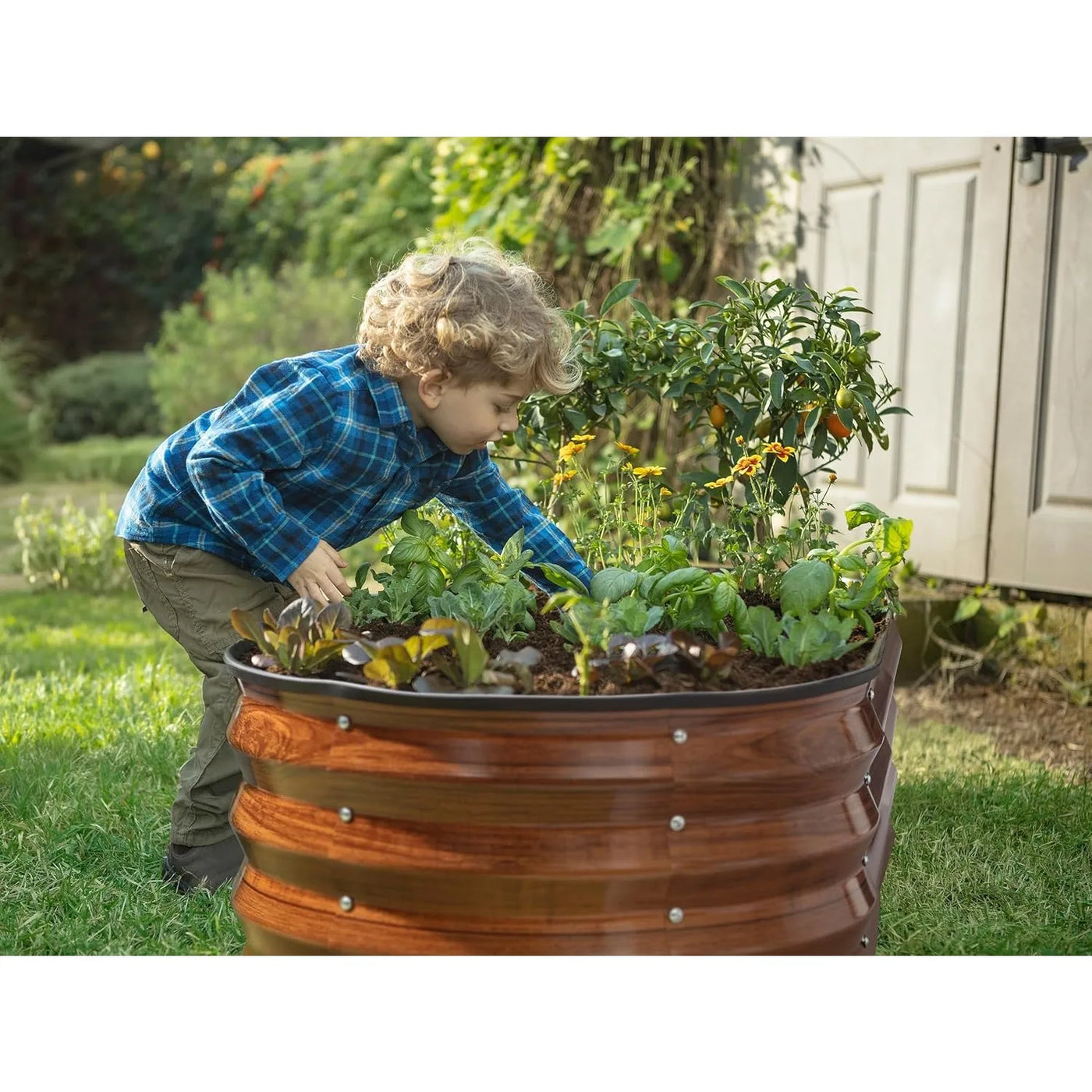 Galvanized Raised Garden Beds Outdoor // 4×2×1 ft Planter Raised Beds for Gardening, Vegetables, Flowers  (Dark Wood Grain)