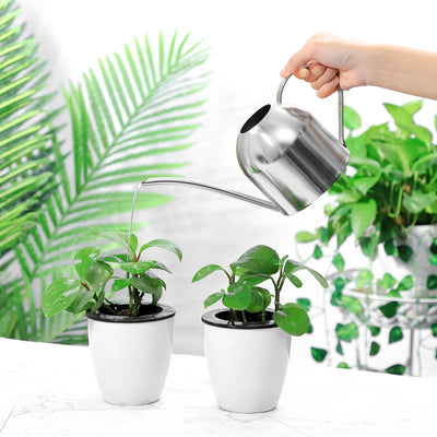 1000ml Stainless Steel Watering Can Long Spout Watering Pot Home Gardening Tool for Indoor Plants Succulents (Silver)