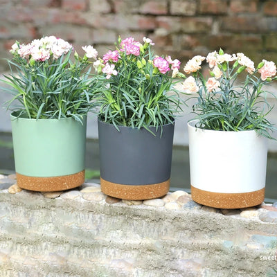 Plant Pot Circular Large Flowerpot Plastic Indoor Plants Succulent Planter with Drainage Bonsai Potted with Tray Home Decoration